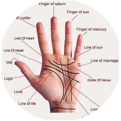 Palm Reading